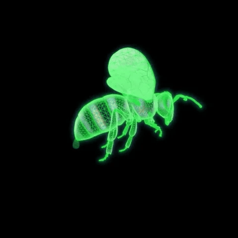 Bee Venom Lymphatic Daiamage & Sliming Patches (10 Patches) |🔥50% OFF SALE🔥|
